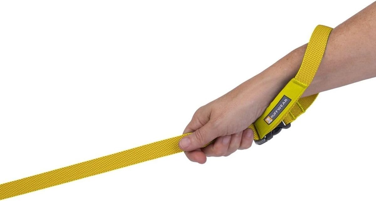 Ruffwear, Flagline Dog Leash, Lightweight 6.5 ft Lead, Lichen Green