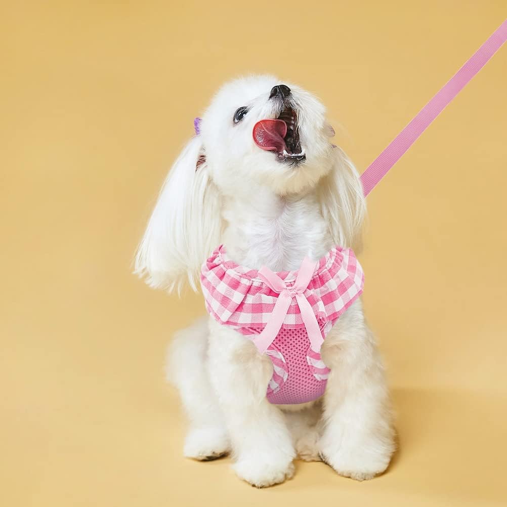 EXPAWLORER Step-in Small Dog Harness and Leash Set, Pink XS