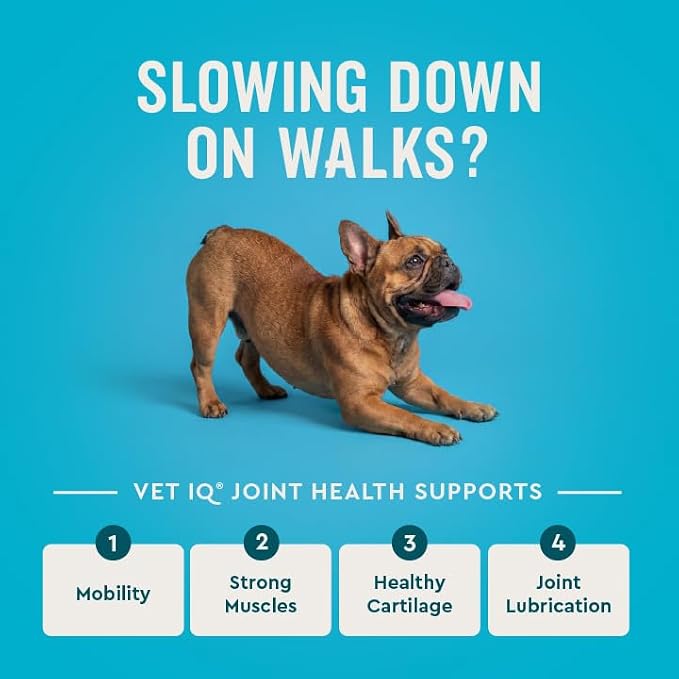 VetIQ Hip & Joint Chewable Tablets for Dogs, Glucosamine, 60ct
