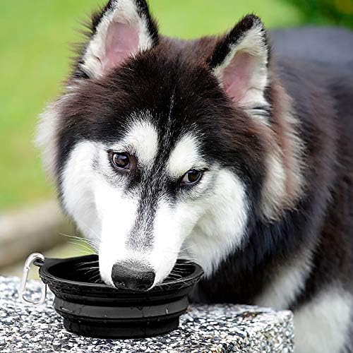 Kytely Large Collapsible Dog Bowls 2 Pack, 34oz Foldable Dog Travel Bowl | Portable Dog Water Food Bowl with Clasp, Pet Cat Feeding Cup Dish for Traveling, Walking, Parking 