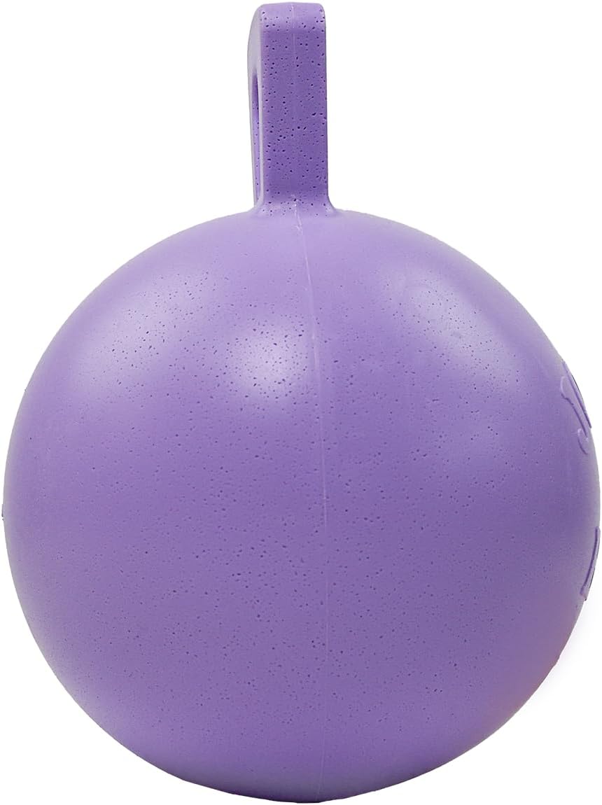 Jolly Pets Tug-n-Toss Heavy Duty Dog Toy Ball with Handle, 10 Inches/X-Large, Light Purple