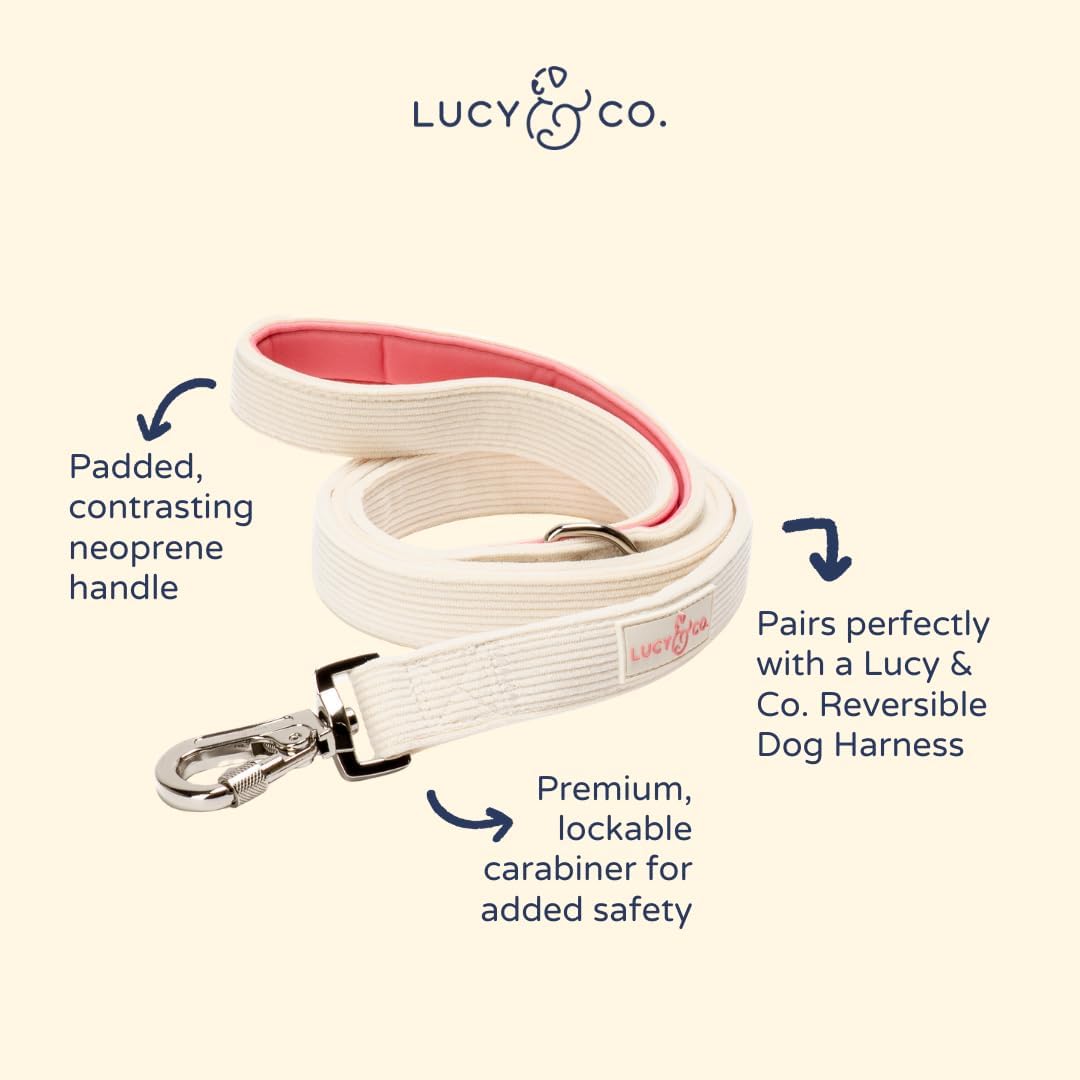 Lucy & Co. Ivory Corduroy Dog Leash, Durable Dog Lead with Heavy Duty Hardware, Large
