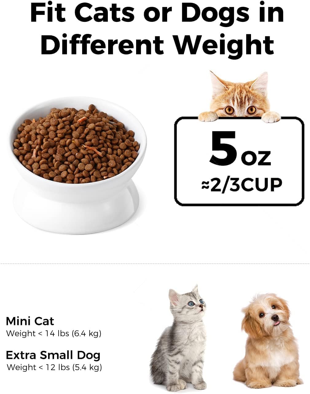 LoeJan Elevated Cat Food Bowl, 5 Oz Ceramic Raised and Tilted Water Bowl, Anti Vomiting and Protect Pets' Spines Dishes for Small Dog, Fat Faced Cat, Kitten (White, 4 Pack)