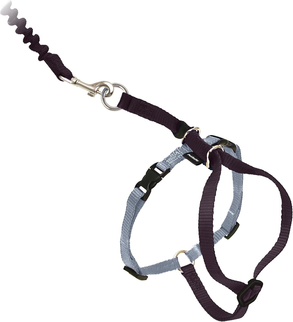 PetSafe Come With Me Kitty Harness and Bungee Leash, Harness for Cats, Large, Black/Silver, CWMK-L-BLK