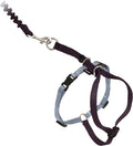 PetSafe Come With Me Kitty Harness and Bungee Leash, Harness for Cats, Large, Black/Silver, CWMK-L-BLK