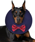 MIDOG Inflatable Dog Cone, Soft Donut Recovery Collar, Bow Tie, Large+