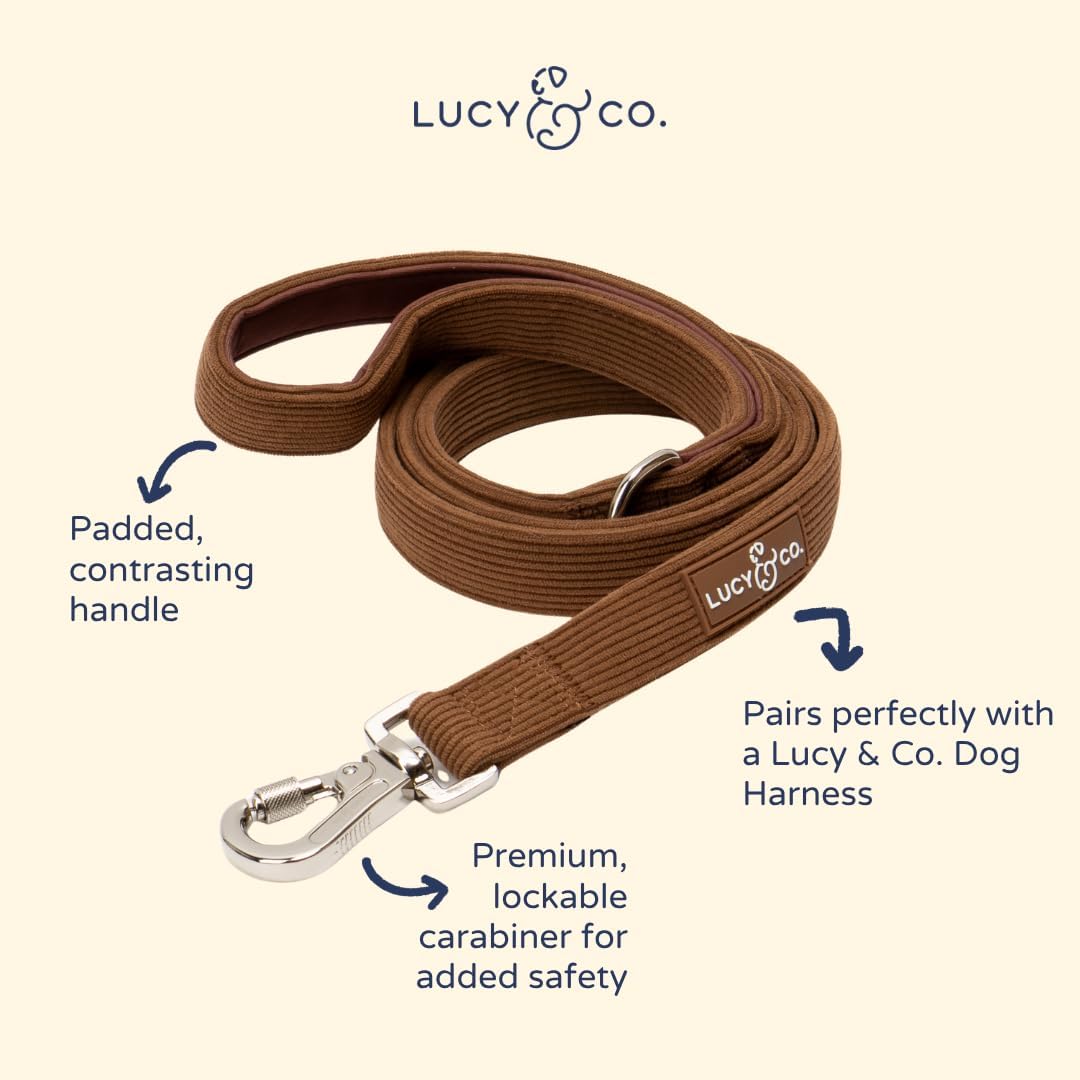 Lucy & Co. Chocolate Meadows Corduroy Dog Leash, S