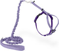PetSafe Come with Me Kitty Harness and Bungee Cat Leash, Lilac, Small