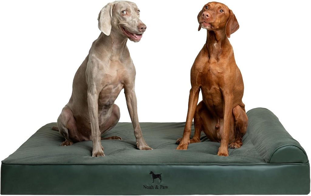 NOAH & PAW XXL Dog Bed Orthopedic Memory Foam Cooling Gel 55x45x9.5 in