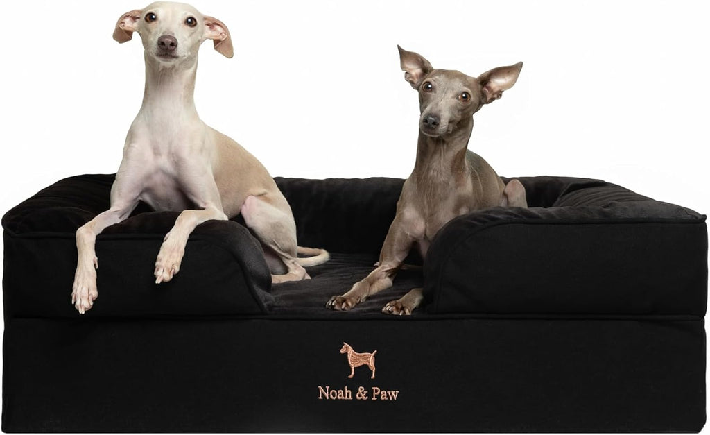 NOAH & PAW Dog Bed, Orthopedic Memory Cooling Foam (2X Base) 35x25x11in