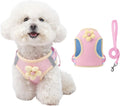 Floral Mesh Dog Harness with Matching Leash, Pink, L (16-20lbs)