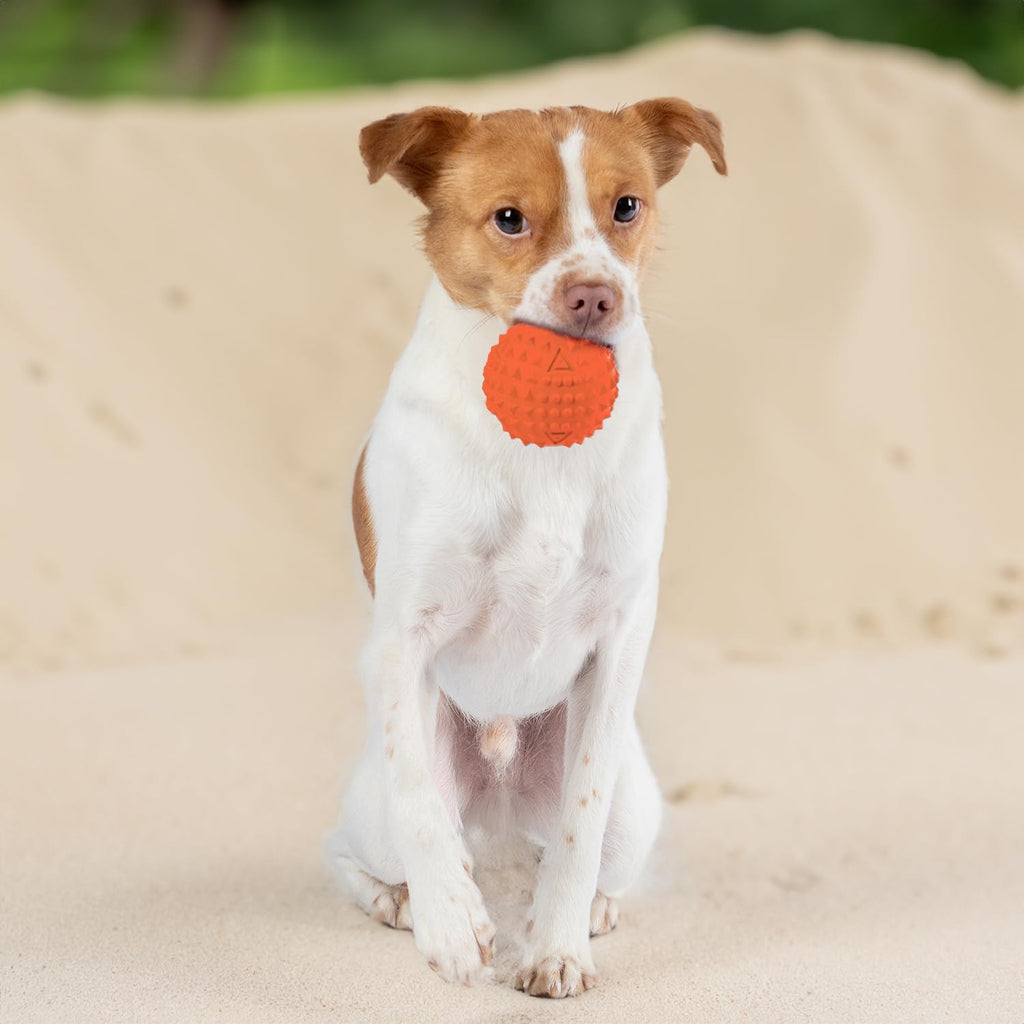 Best Pet Supplies Interactive Squeaky Dog Chew Toy, Ideal Dog Toys for Chewers, Small, Medium & Large Dogs, and Fetch Lovers - Spiky Ball (Blue, Orange), Large 3.5"