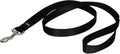 PetSafe Nylon Dog Leash - Strong, Durable, Traditional Style Leash with Easy to Use Bolt Snap - 1 in. x 4 ft., Black