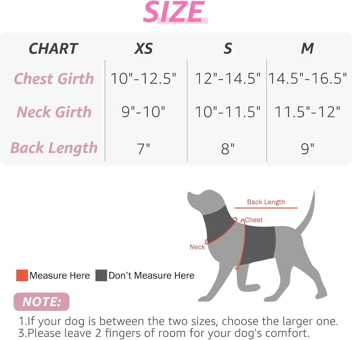 SCENEREAL Small Dog Harness and Leash Set Girl, Cute Dog Harness Dress