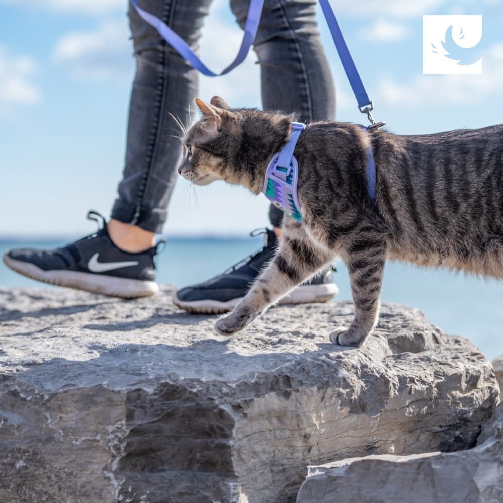 RC Pets Adventure Kitty Harness, 6ft Leash, Medium, Splatter
