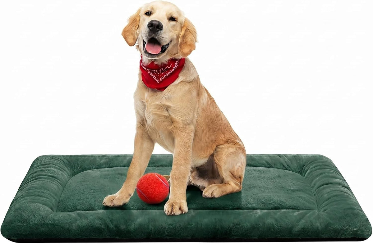 Dog Crate Pad Washable Dog Bed for Crate Medium Cozy Mat 36-Inch Green