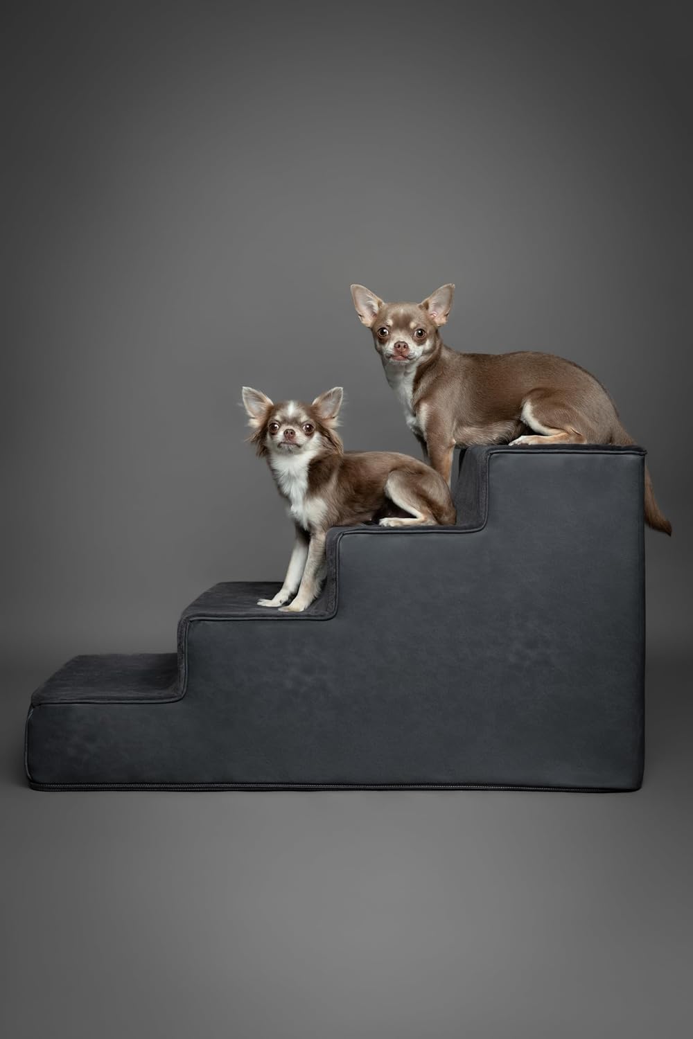 Noah & Paw Dog Steps for Bed, Up to 150lb, Extra Wide Dog Stairs for Bed