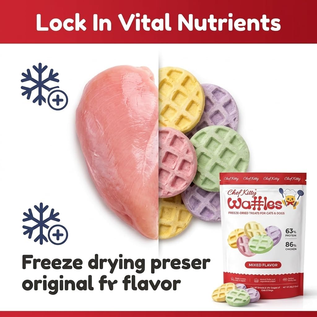 Chicken Waffle Freeze Dried Cat & Dog Treats, 4 Flavors, 2.1oz