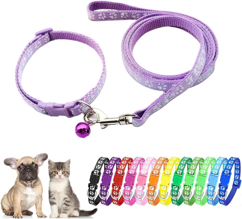 Small Dog Collar and Leash Set, Puppy Leash and Collar XXS Tiny Cat Collar