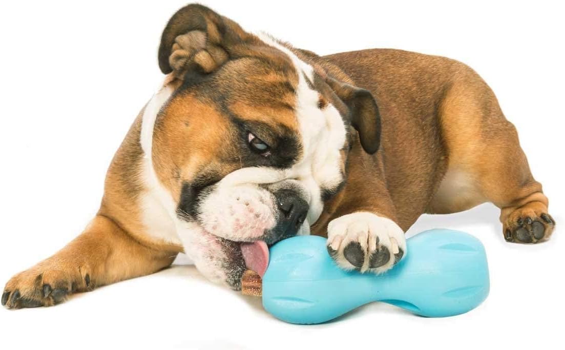 WEST PAW Qwizl Durable Zogoflex Dog Puzzle Toy for Mental Stimulation, and Enrichment - Treat Dispensing for Bully Sticks and Dental Sticks - Dishwasher Safe - Made in USA - Small - Aqua