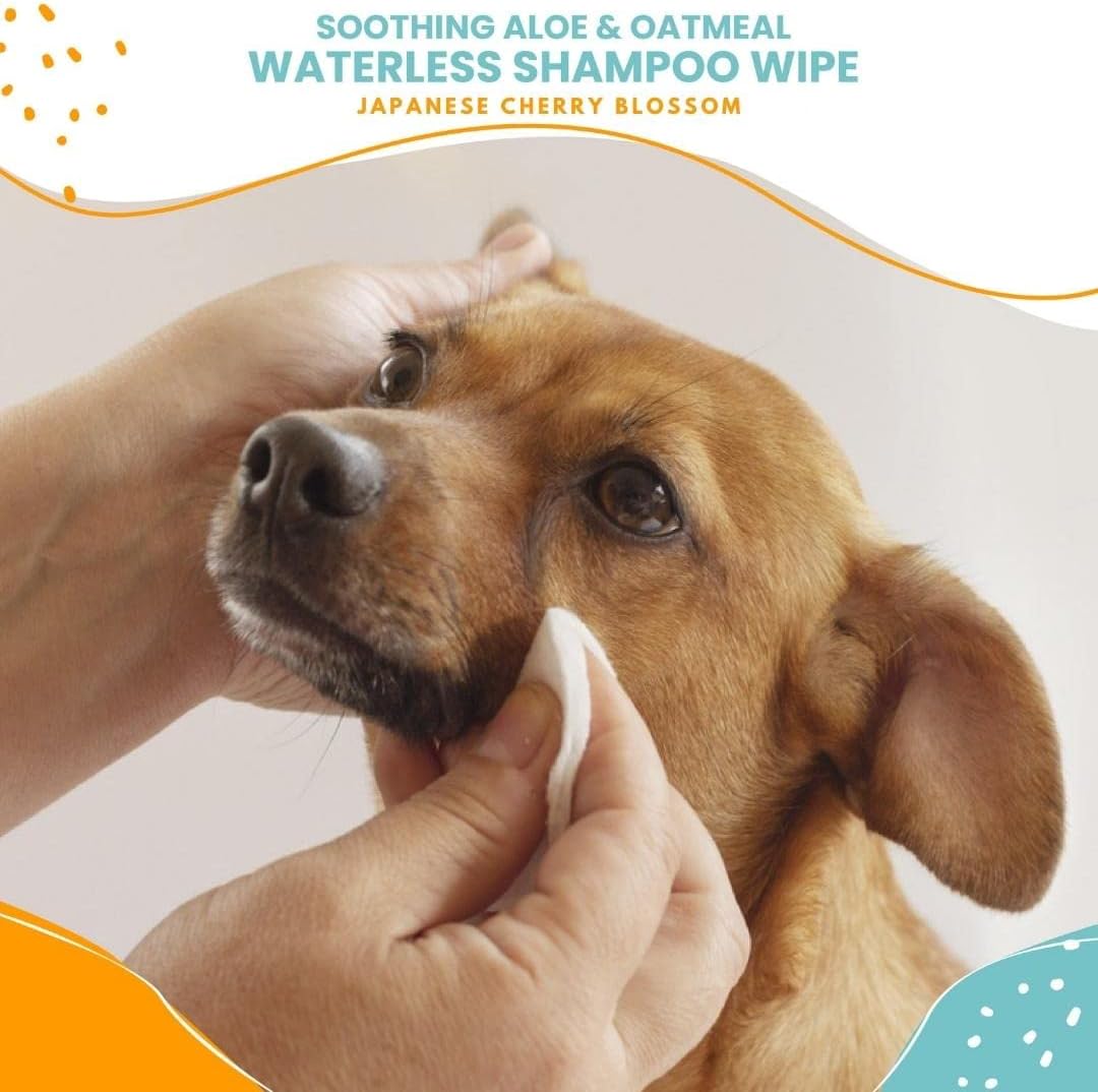 Nootie Waterless Shampoo Wipes, Cherry Blossom, Long-Lasting Fragrance | 70 Ct, sold in 10,000+ vet clinics & pet stores, made in USA 