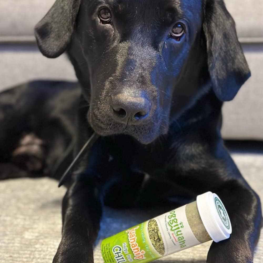 Doggijuana Juananip Refill Bottle for Dogs, 2-Pack | Natural Calming Catnip