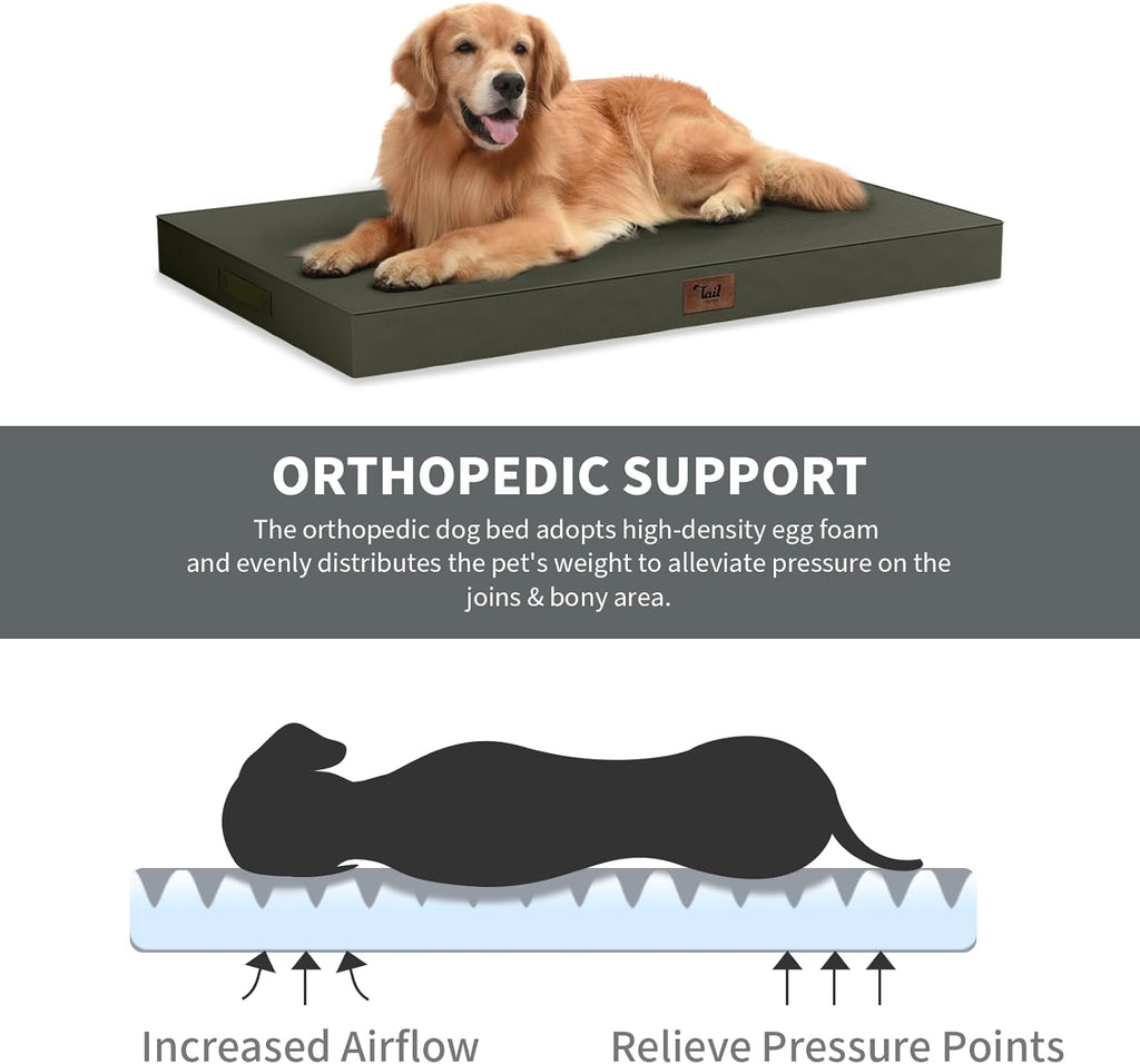 Orthopedic Waterproof Dog Bed for Small Dogs and Cats