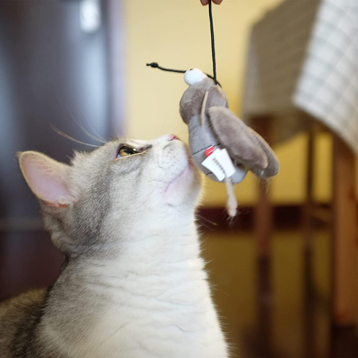 Gigwi Interactive Cricket Cat Toy, Automatic Cricket Squeaky Cat Toys, Play and Squeak Electronic Cricket Toy for Cats Kitten Indoor