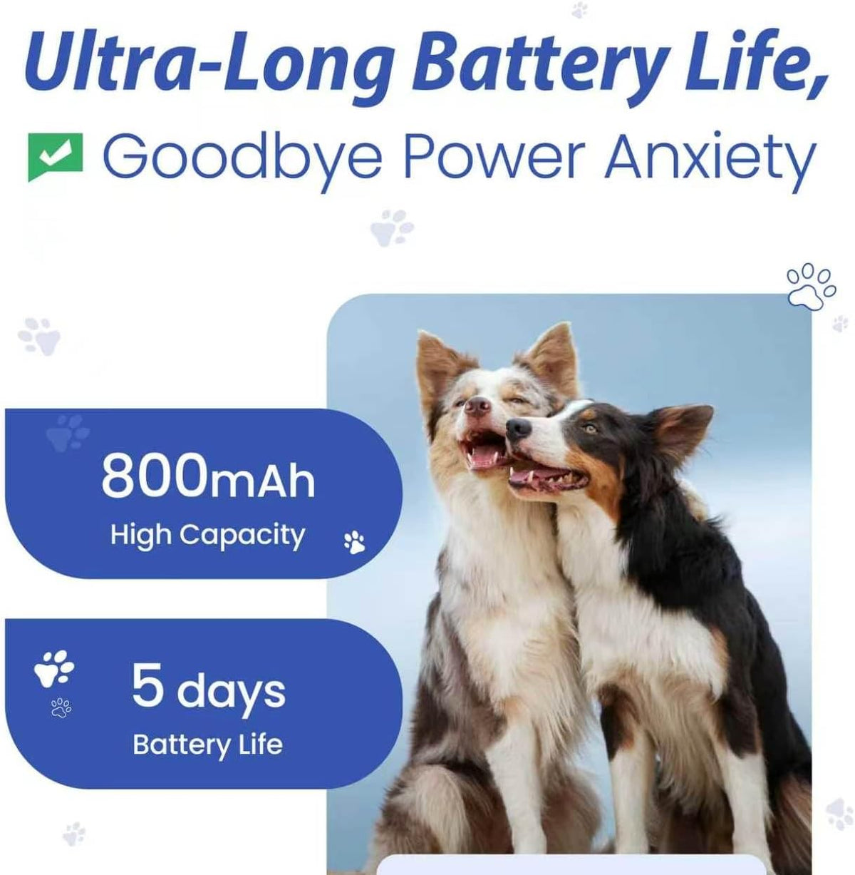 Pet Real Time GPS Tracker, Smart Dog Tracker GPS with 1 Month Subscription