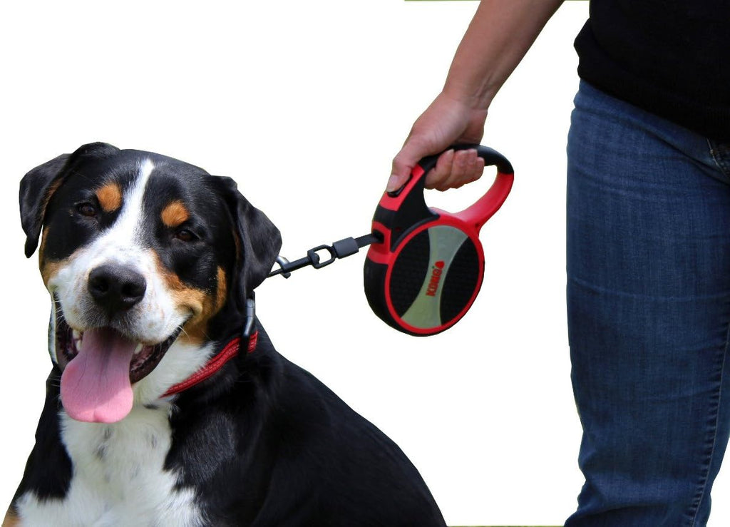 Alcott Kong Terrain Retractable Dog Leash, Small, Blue, 16' Long