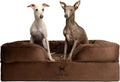 NOAH & PAW Dog Bed, Orthopedic Memory Cooling Foam (2X Base) 35x25x11in