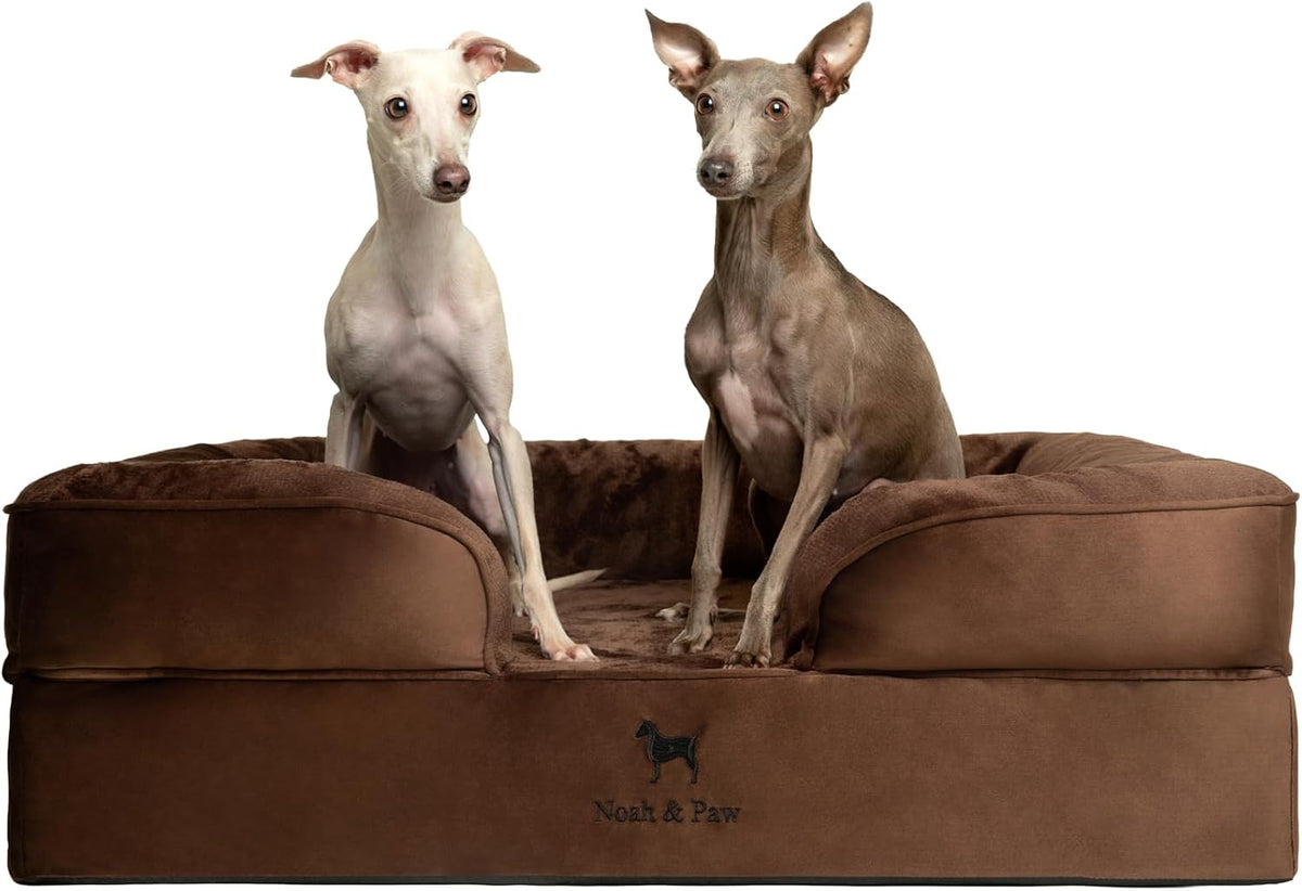 NOAH & PAW Dog Bed, Orthopedic Memory Cooling Foam (2X Base) 35x25x11in