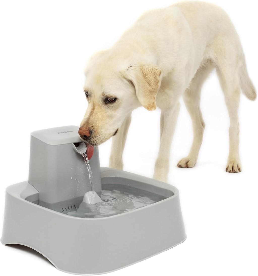 PetSafe Oasys Pet Fountain, 2 Gallon (256 oz), Cats, Dogs & Multi-Pet Homes