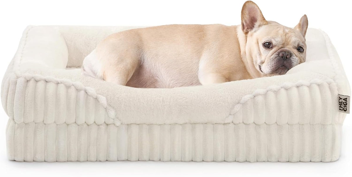 EHEYCIGA Orthopedic Dog Beds for Large Dogs 35x22 Inch, Cream