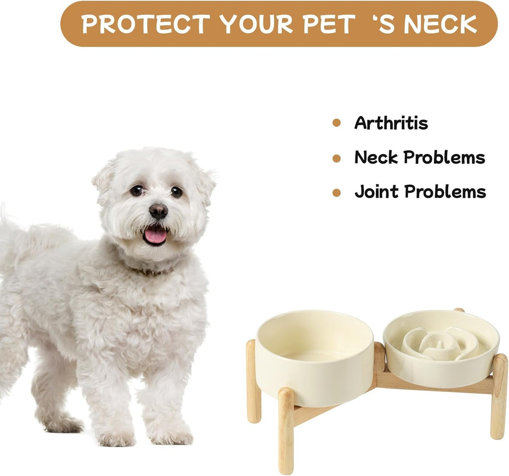 Havniva Elevated Slow Feeder Dog Bowls, 6.1 in Ceramic Slow Feeder Bowl Set