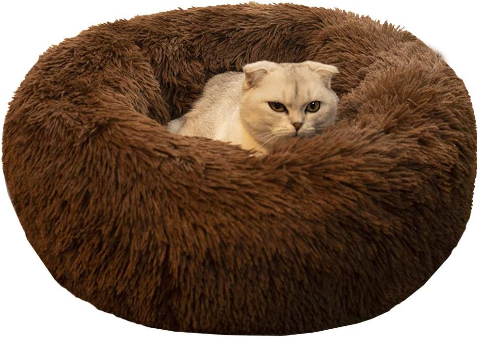 Cat Bed for Indoor Cats,Mini Plush Self Warming Kitten Bed, 20 Inch