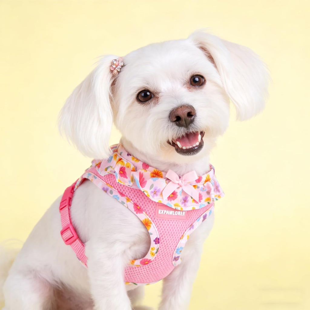 EXPAWLORER Step-in Small Dog Harness and Leash Set, Pink Floral M