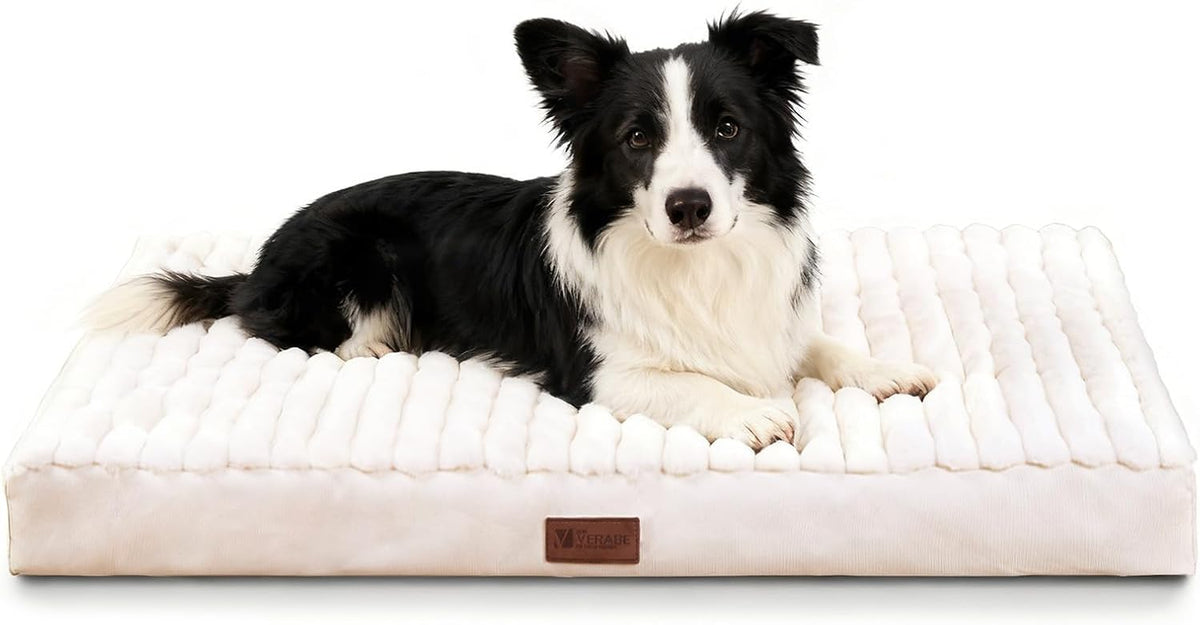 Orthopedic Dog Bed for Large Dogs,Firm Egg Crate Foam,Non-Slip Bottom,Beige