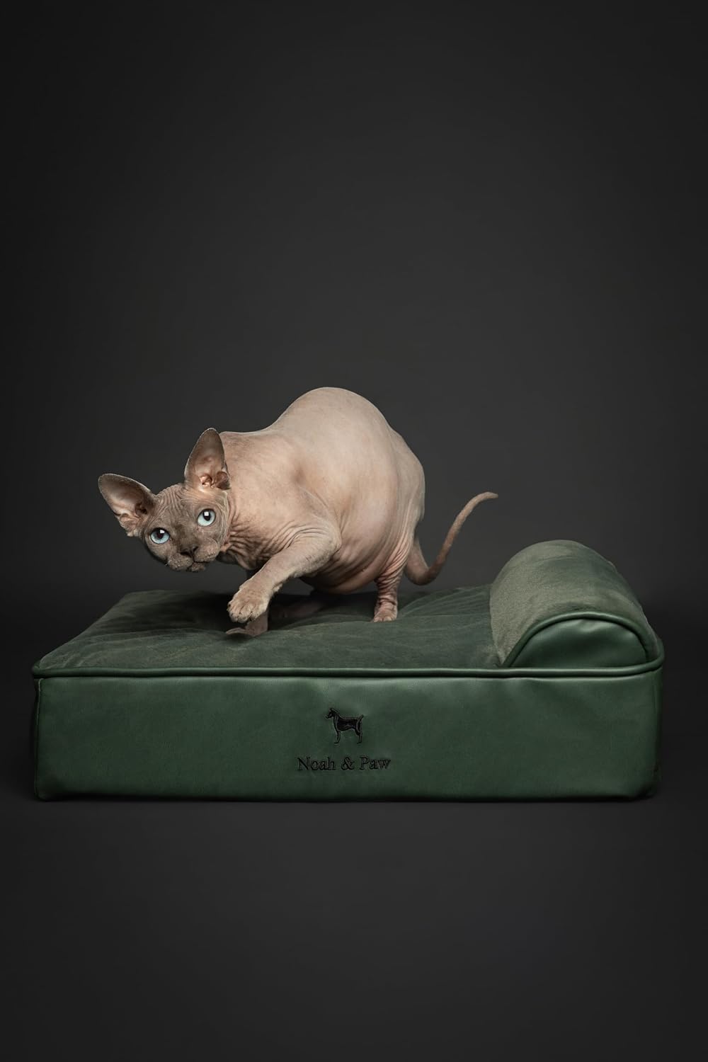 NOAH & PAW Small Cat & Dog Bed Orthopedic Cooling Memory Foam 20x15x6.5