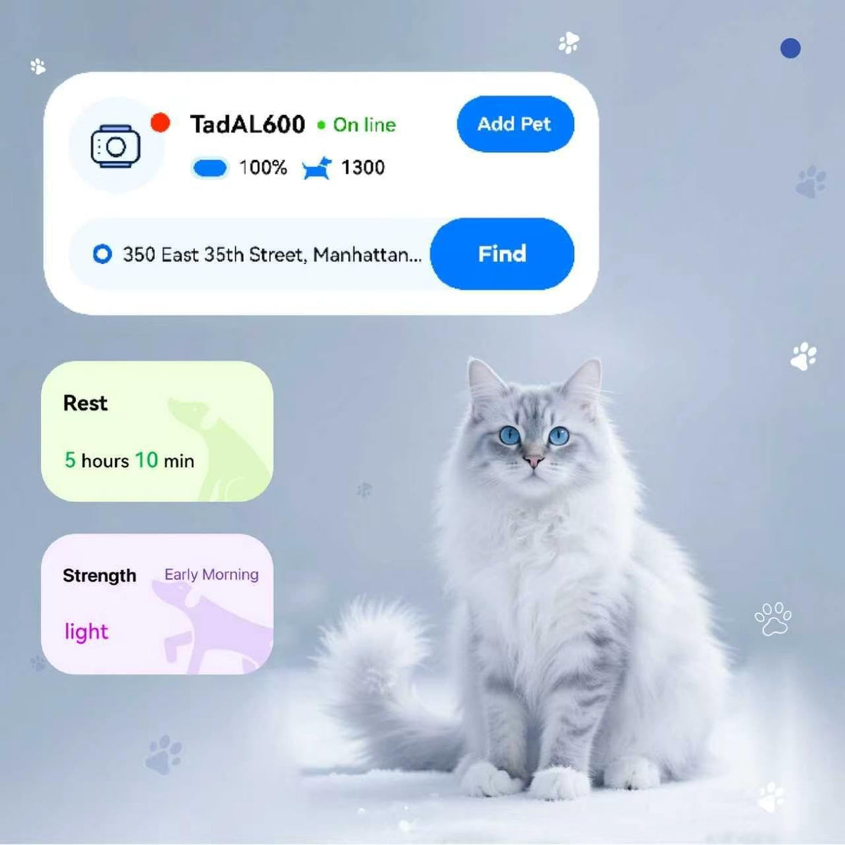 Pet Real Time GPS Tracker, Smart Dog Tracker GPS with 1 Month Subscription