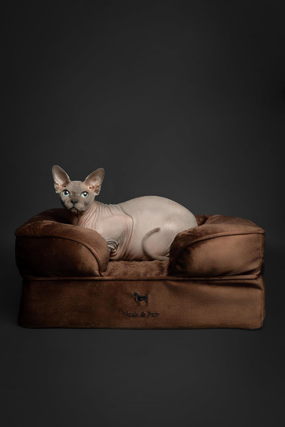 NOAH & PAW Cat Bed, XS Dog Bed, Orthopedic Memory Foam (2X Base) 20x15x8 in