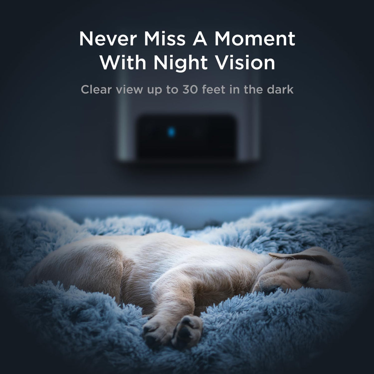 Petcube Bites 2 Lite Pet Camera [Subscription Required] - Treat Dispenser
