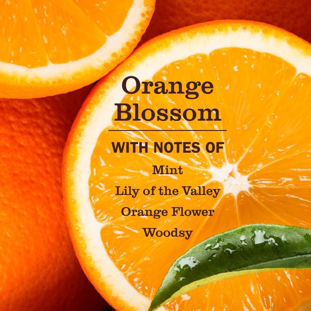 Mrs. MEYER'S CLEAN DAY Pet Stain & Odor Fighter, Orange Blossom Scent, 16 Fl Oz (Pack of 6)