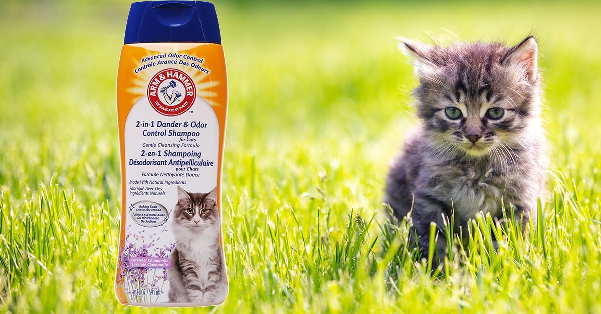 Arm & Hammer 2-in-1 Deodorizing Cat Shampoo, Lavender, 20 Fl Oz, 6-Pack