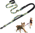 TSPRO Shock Absorbing Hands-Free Bungee Dog Leash with Car Safety Tether