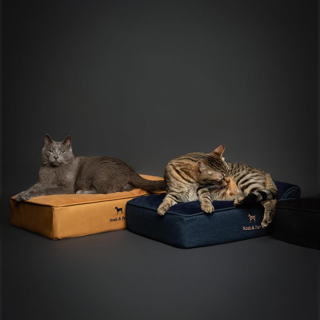 NOAH & PAW Small Cat & Dog Bed Orthopedic Cooling Memory Foam 20x15x6.5