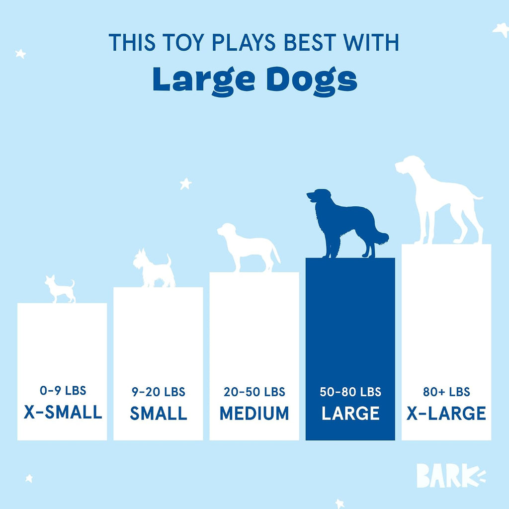 BarkBox Consuela the Cactus 2-in-1 Interactive Plush Dog Toy | Squeaky Dog Chew Toy with Crinkle Layers - For Large Dogs and Puppies
