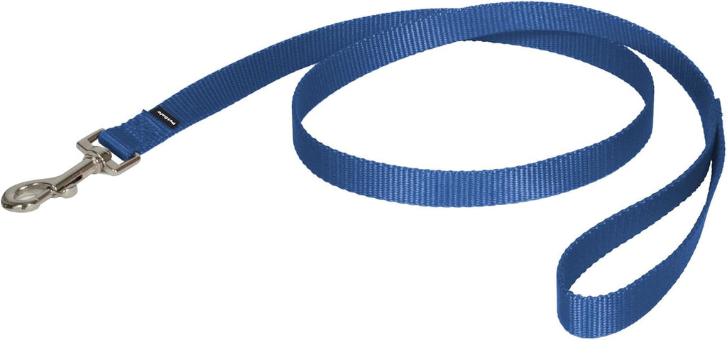 PetSafe Nylon Dog Leash - Strong, Durable, Traditional Style Leash with Easy to Use Bolt Snap - 3/4 in. x 4 ft., Royal Blue