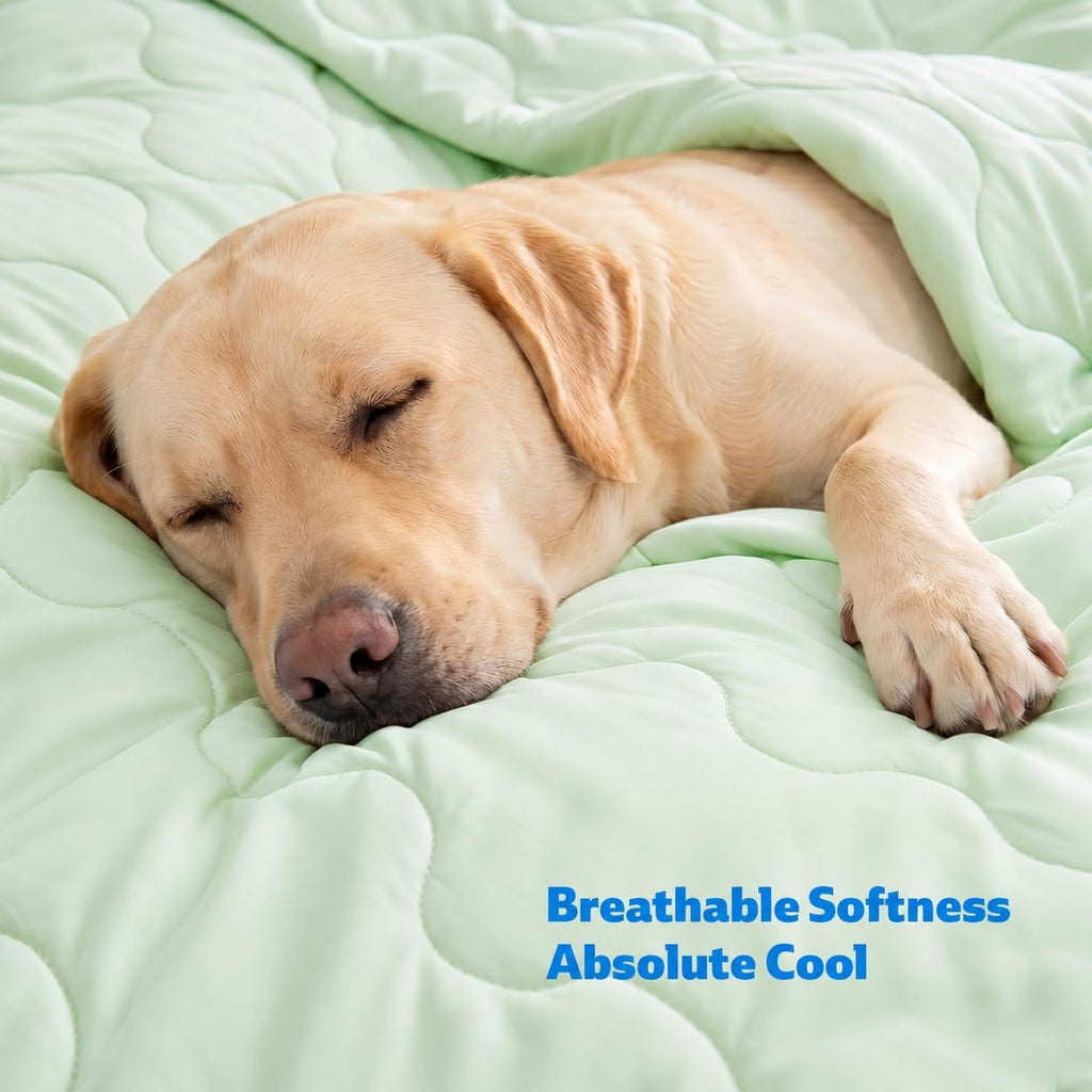 Cooling Blanket for Dogs. Dog Cooling Blankets for Large Dogs, Breathable Cooling Fabric, Cold Washable, Cooling Dog Blanket Durable Scratch-Resistant Soft Fabric for All Seasons, Leafy Green