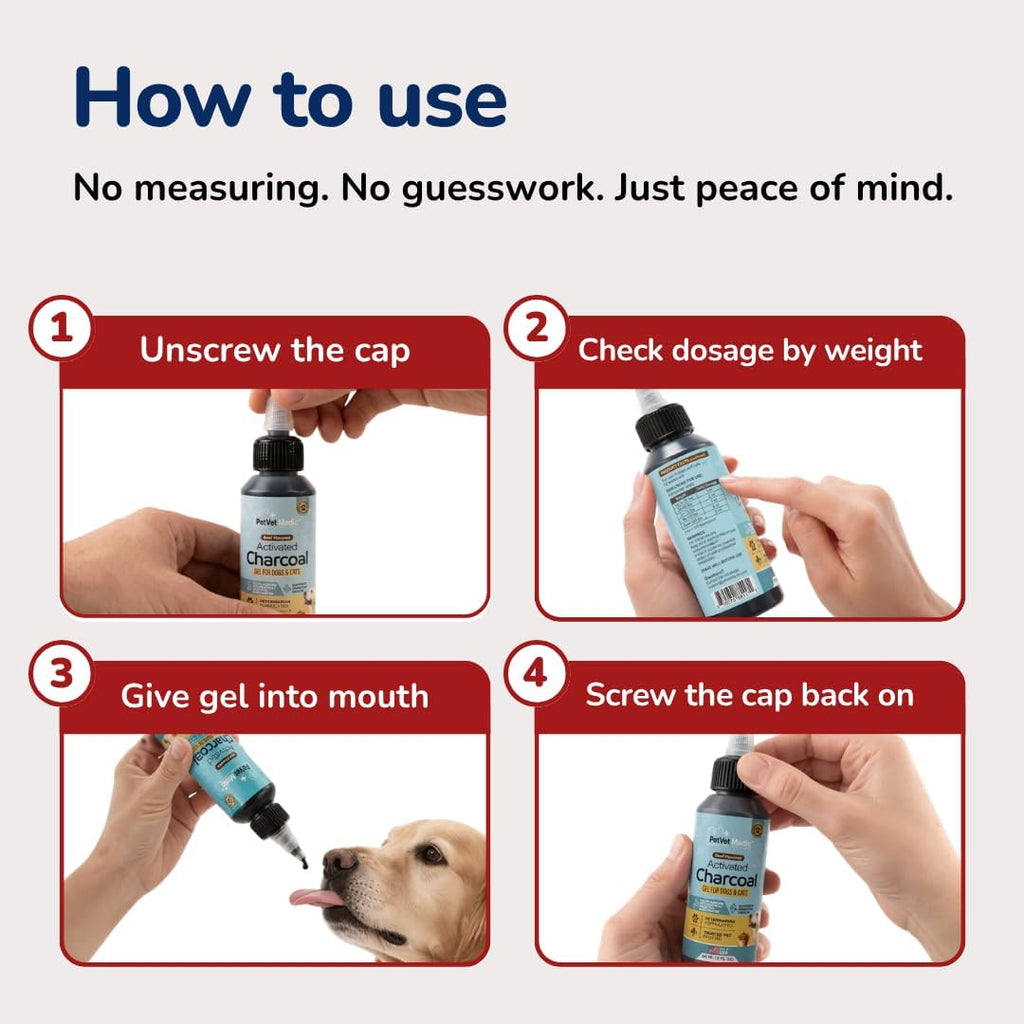 Activated Charcoal for Dogs, Cats & Puppies – Emergency Pet First Aid Gel for Accidental Ingestion, Beef-Flavored Digestive Paste, Veterinarian-Developed, Made in USA, 60 mL
